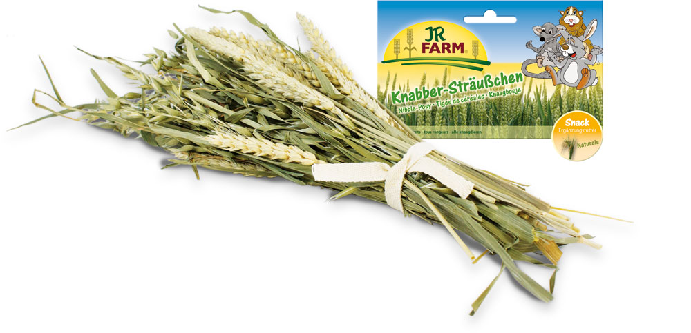Лакомство для грызунов JR Farm Букет зерновых культур, 25 г25591/2094 Лакомство для грызунов JR Farm Букет зерновых культур, 25 г25591/2094Лакомство для грызунов JR Farm Букет зерновых культур состоит из множества злаковых растений и способствует здоровому и естественному питанию грызунов и птиц. Корм легко дозировать, он отлично подходит в качестве перекуса.Рекомендации по кормлению: в зависимости от размера животного, положите от 3 (например, для мышей, волнистых попугаев) до 14 (кроликам, австралийским попугаям) отдельных растений в клетку в неделю. В клетку птицам растения можно подвешивать.Состав: зеленые колосья пшеницы и метелки овса с зерном. Пищевая ценность: белок 9,9%, жиры 1,9%, клетчатка 27,5%, зола 5,3%.Вес: 25 г.Товар сертифицирован.