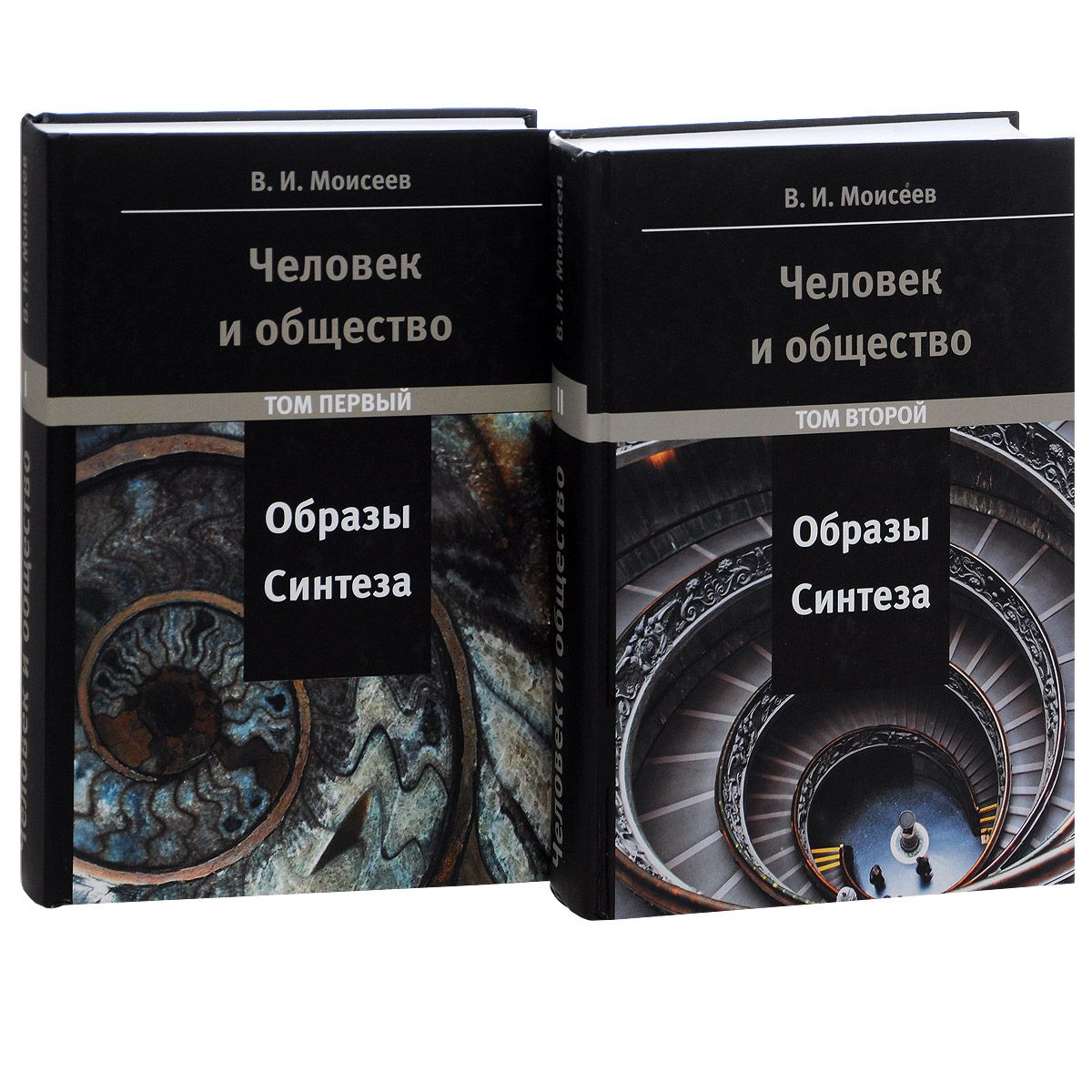 Синтез образов. Книга Моисеева. Моисеев том 2. Синтезированный образ это. Избранное. Образ общества книга.