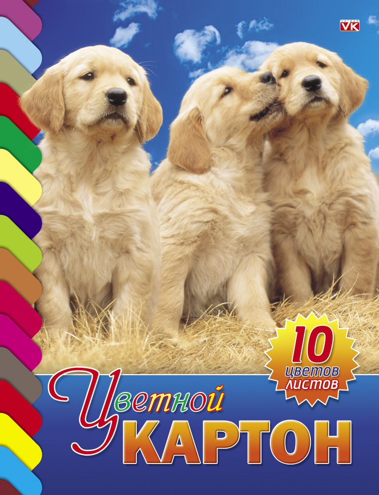 Цветной картон Hatber Три щенка, 10 листов10Кц4к_01021 Цветной картон Hatber Три щенка, 10 листов10Кц4к_01021Набор бумаги и цветного картона Hatber Три щенка позволит вашему малышу раскрыть свой творческий потенциал. Набор содержит 10 листов цветного картона оранжевого, золотого, серебряного, желтого, черного, коричневого, зеленого, голубого, фиолетового, красного цветов. На внутренней стороне обложки расположено изображение очаровательного щенка и бабочки, которое малыш сможет раскрасить по своему желанию.Создание поделок из картона - это увлекательнейший процесс, способствующий развитию у ребенка фантазии и творческого мышления.Набор не содержит каких-либо инструкций - ребенок может дать волю своей фантазии и создавать собственные шедевры! Набор прекрасно подойдет для создания аппликаций и изготовления поделок из картона. Порадуйте своего малыша таким замечательным подарком!