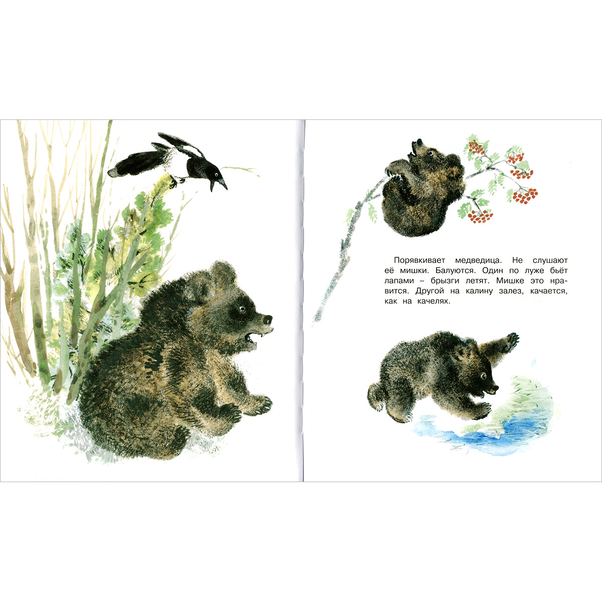 Евгений Чарушин иллюстрации к рассказам о животных