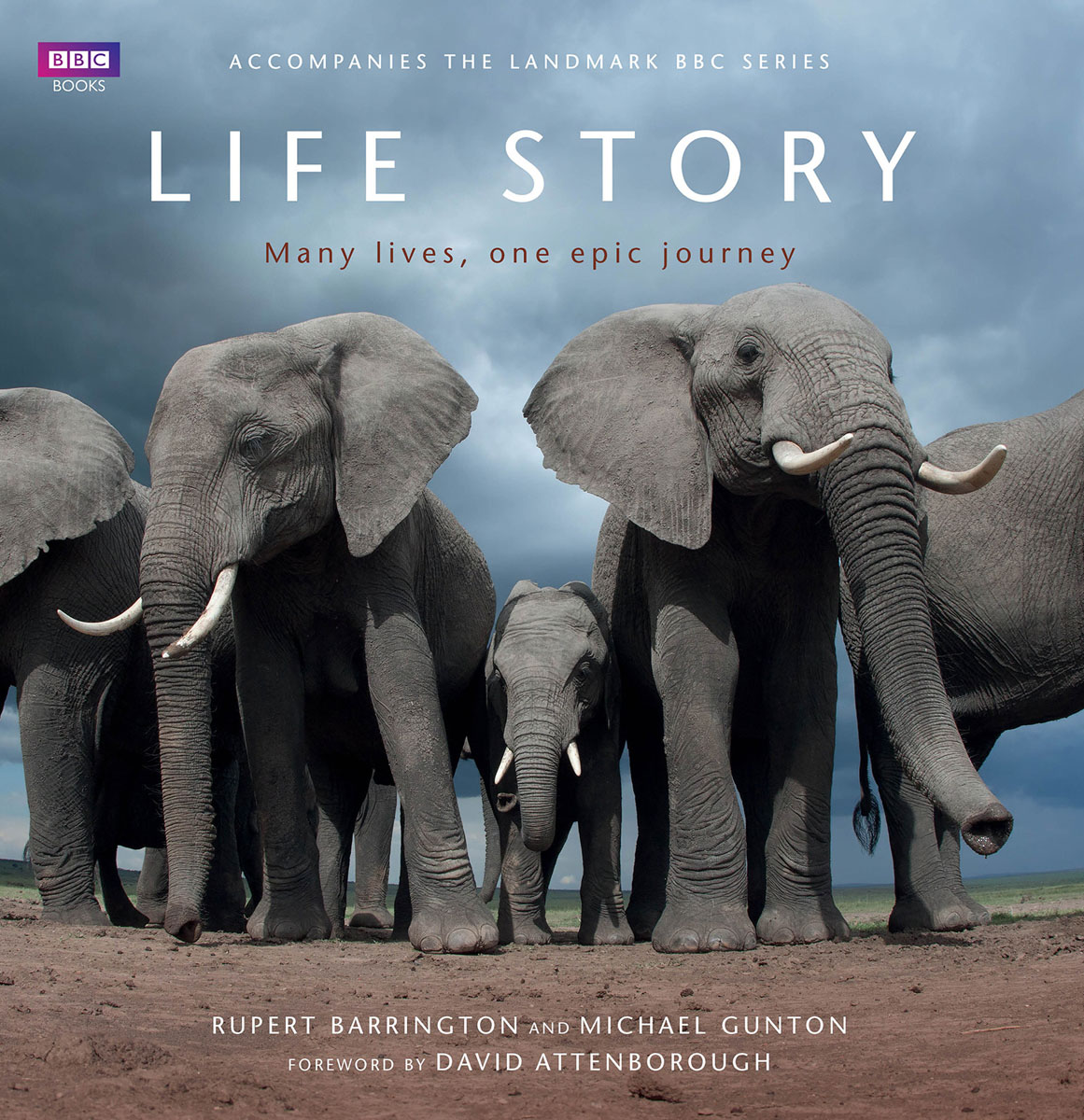 Life Story: Many Lives one Epic Journey airplanes – the life story of a technology