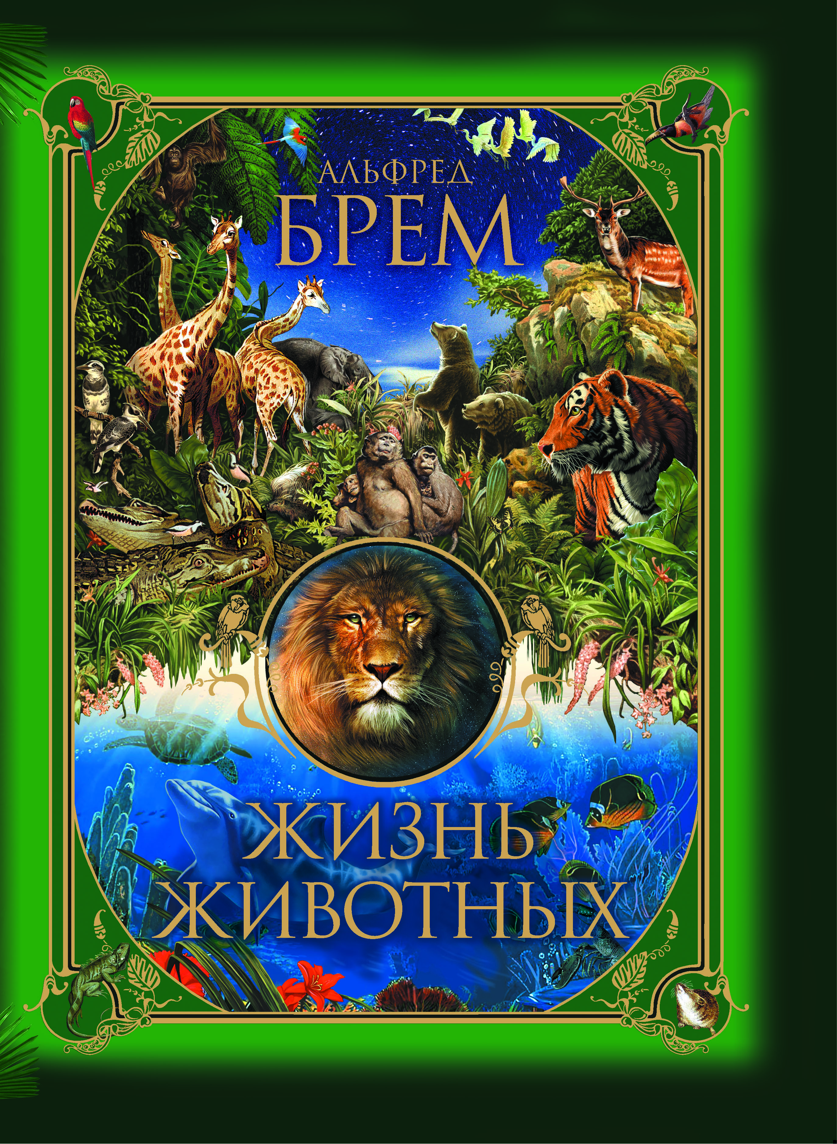 Брем жизнь