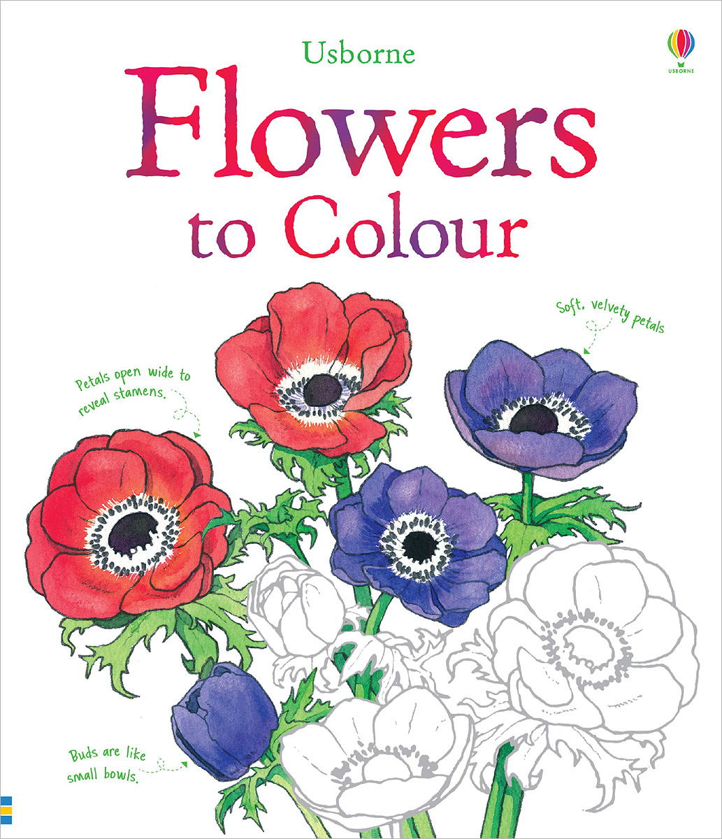 The book of flowers. Книга цветы. Книга Flower Color Guide. Обложка книги цветы. Селам или язык цветов книга.