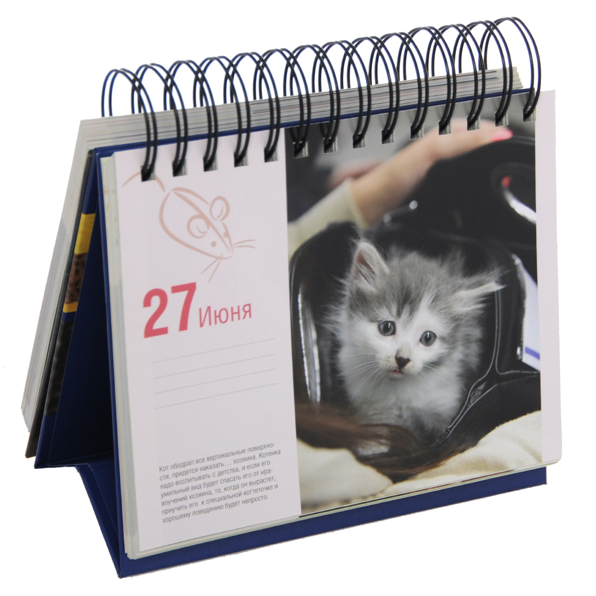 Календарь настольный 365 дней Календарь настольный (на спирали). Котики, Евгения Гюнтер. Купить книгу за 762.3