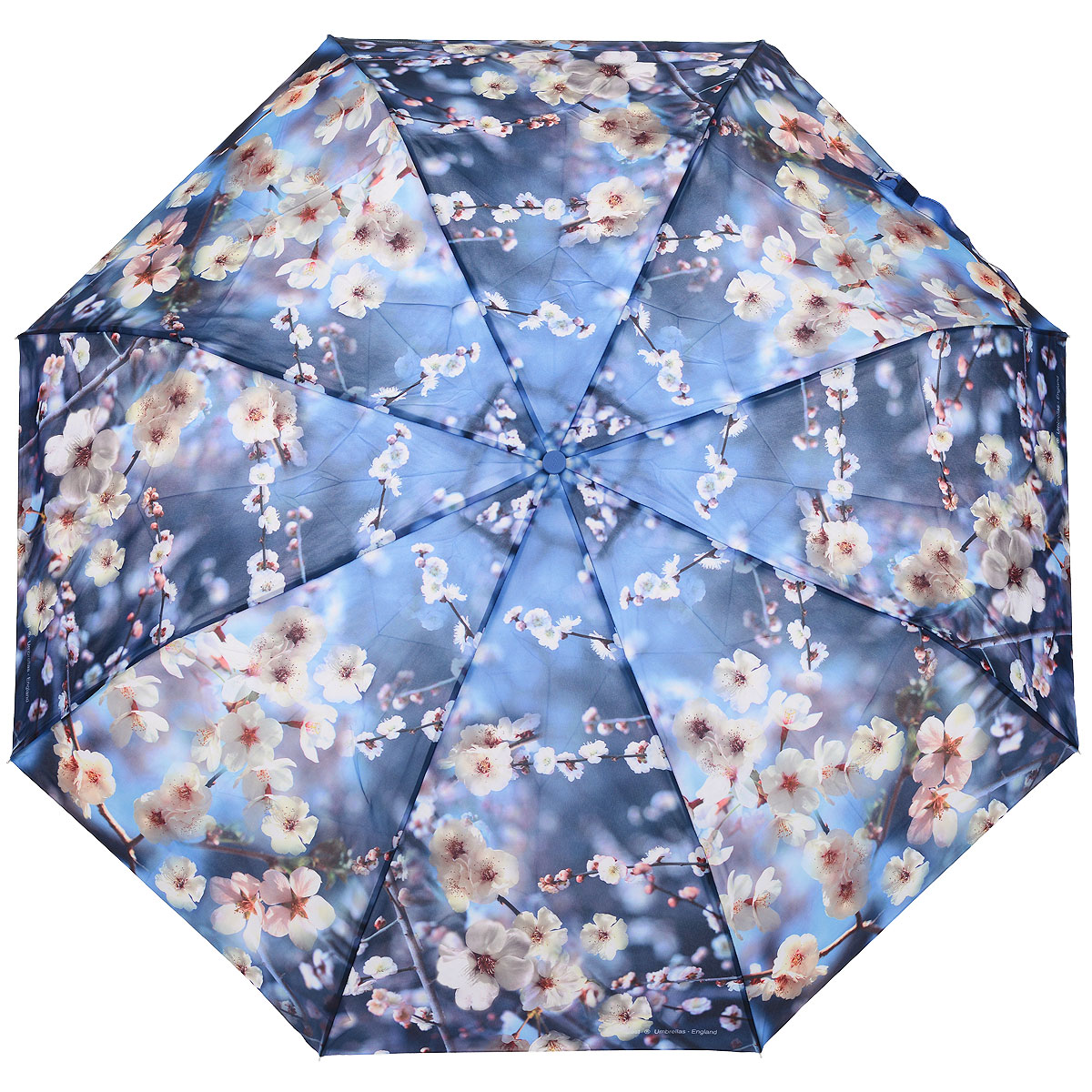Зонт женский Zest, автомат, 3 сложения, цвет: голубой. 239555-73