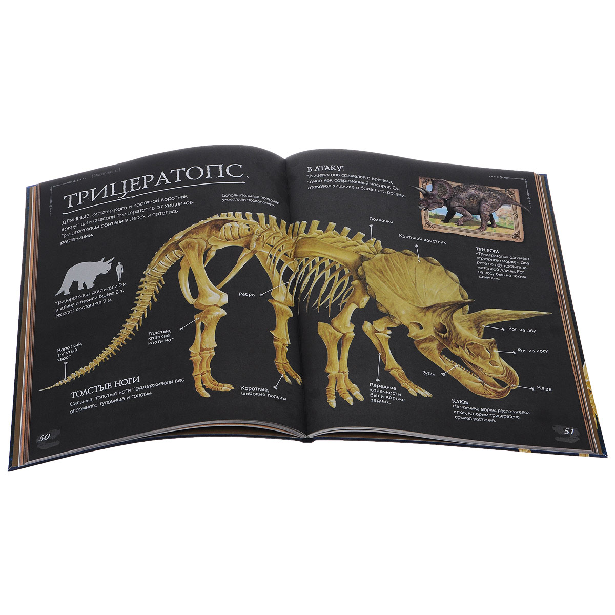 Динозавры сборник. Коллекция костей. Динозавры и другие доисторические животные. Динозавры и другие доисторические животные Аванта. Коллекция костей динозавров. Книга динозавры.