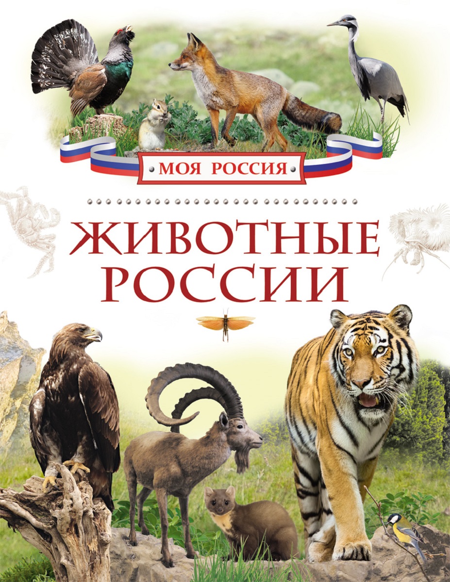 Животные России. И. В. Травина