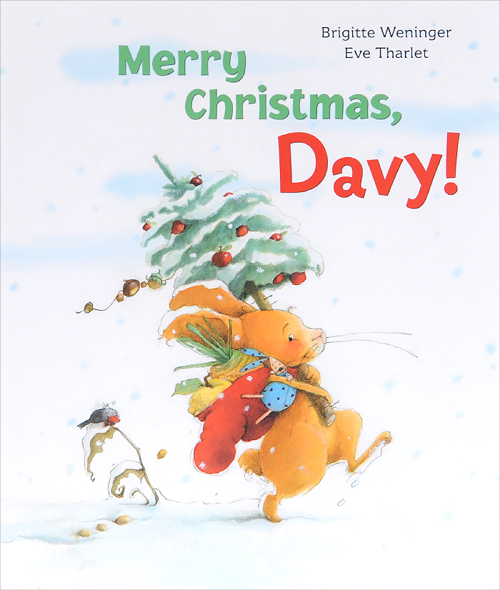 Merry Christmas, Davy! the life and adventures of santa claus