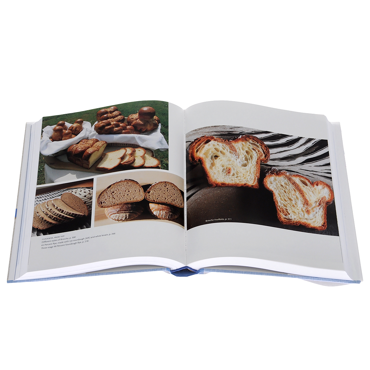 Bread: A Baker's Book of Techniques and Recipes