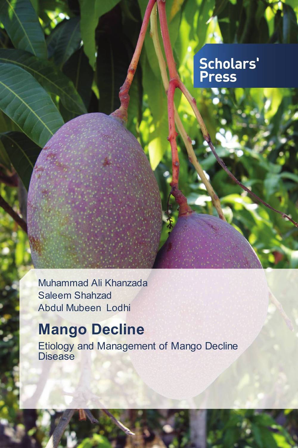 Since the late 90s, most of the <b>mango</b> orchards in Sindh province of Pakista...