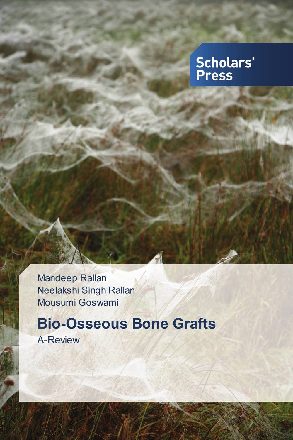 Bio-Osseous Bone Grafts art of bone
