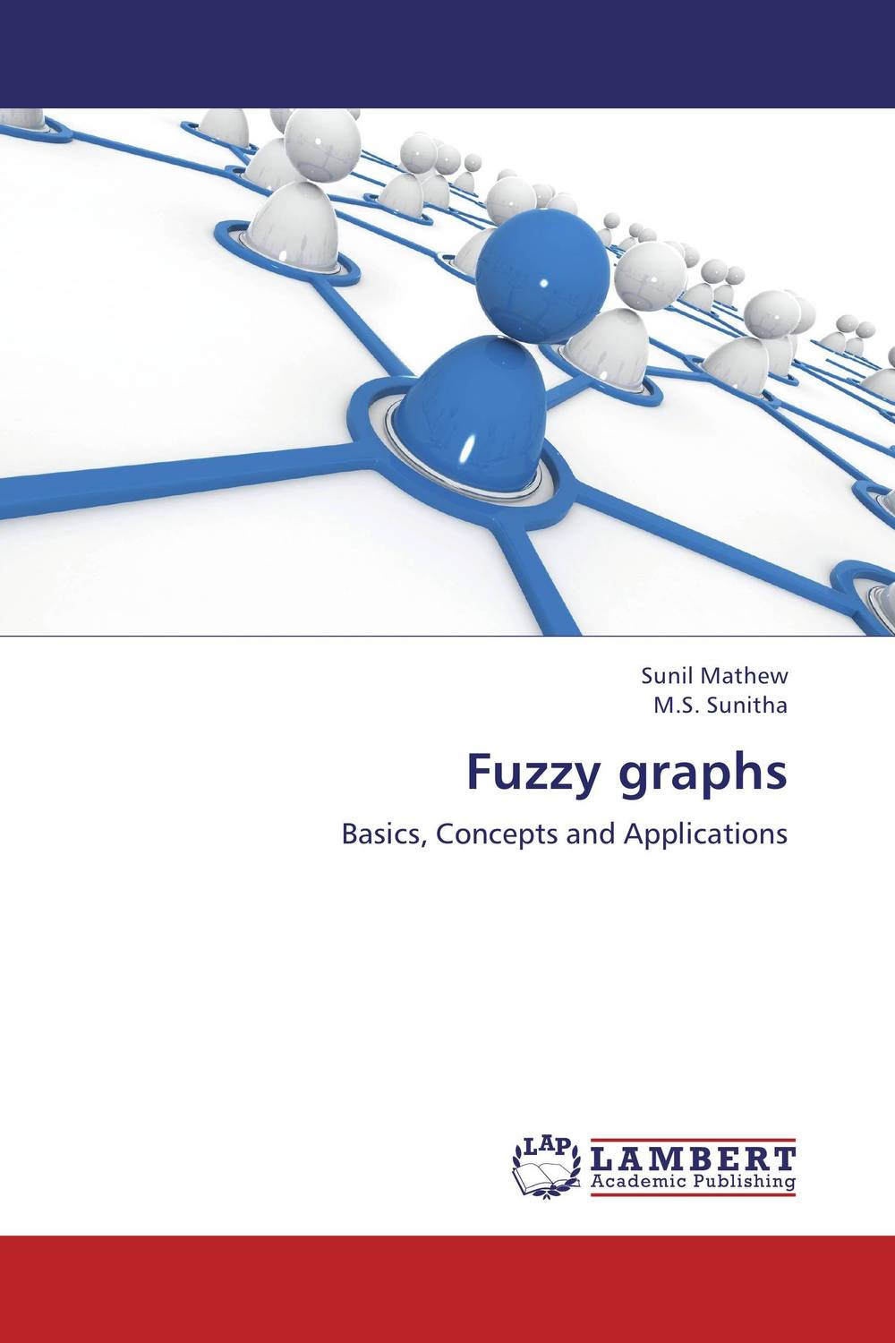 Fuzzy graphs basic information theory thermo limits for network structures