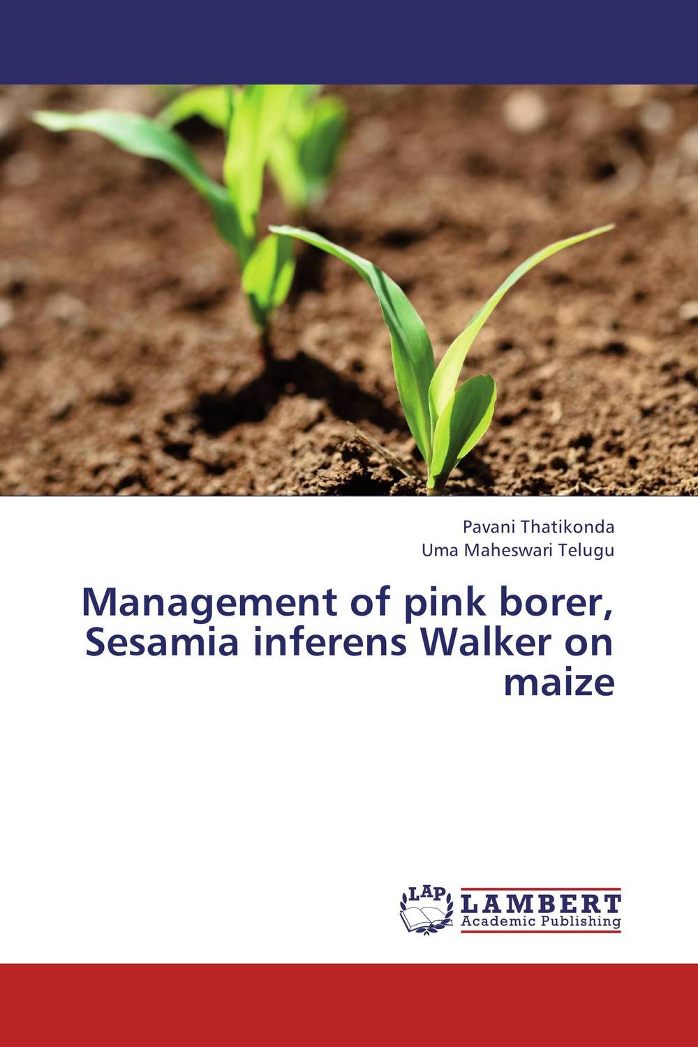 Management of pink borer, Sesamia inferens Walker on maize on the distribution of information structures and focal points