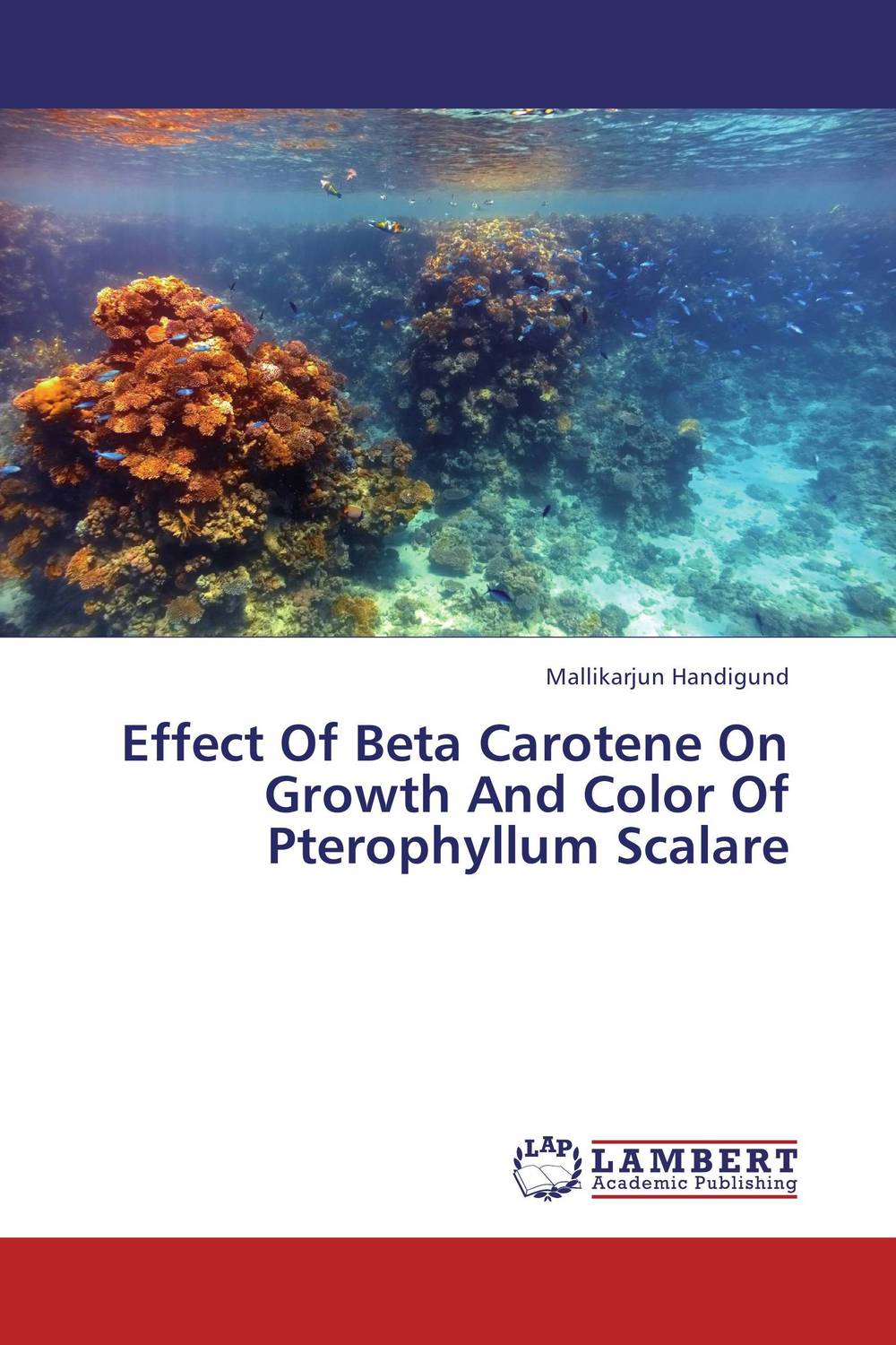 Effect Of Beta Carotene On Growth And Color Of Pterophyllum Scalare fashion candy color 15 cm high with the bottom of the ribs of crystal sandals lure fish mouth shoes on sale