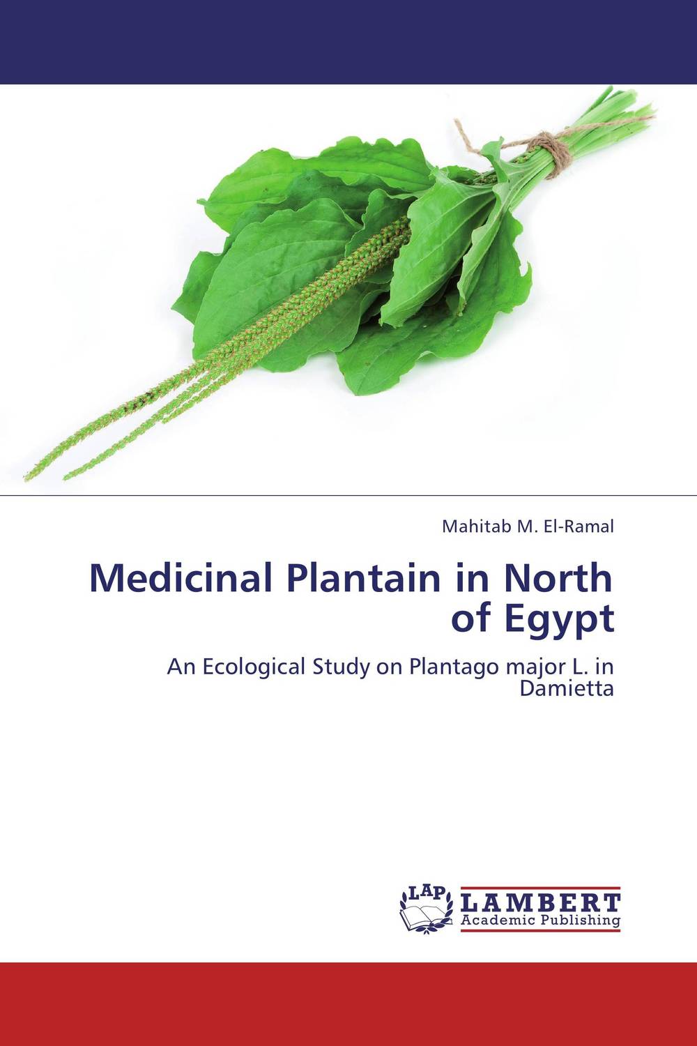 Фармакогнозия грибы лечебные. Flower girls пульсатилла. Herbs timothy это. Medicinal properties. Sage herb.