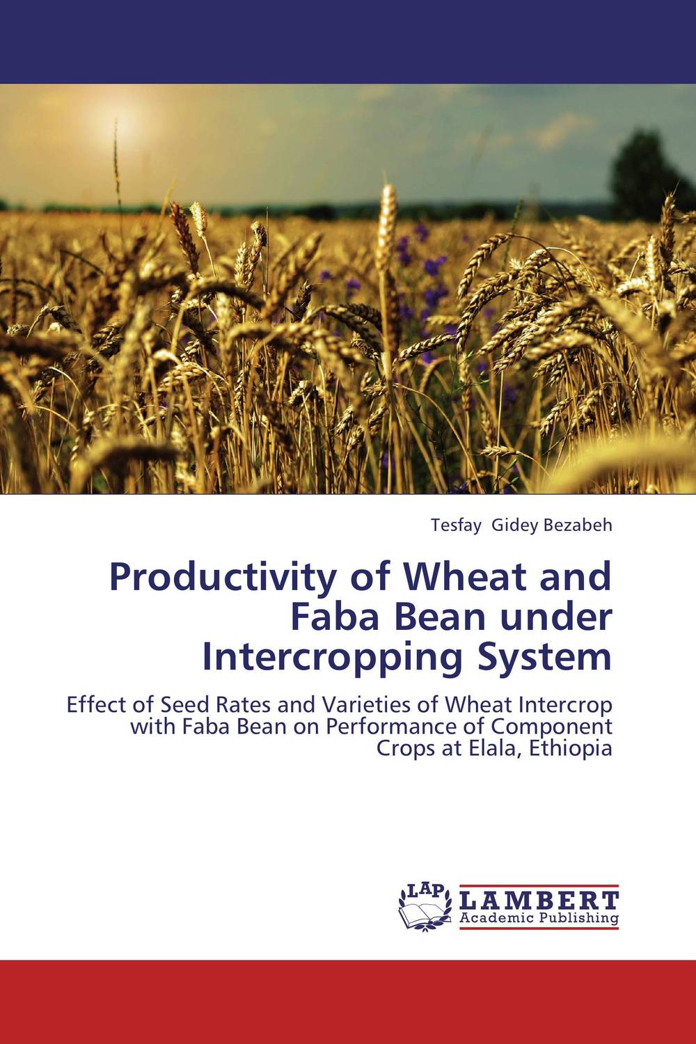 Productivity of Wheat and Faba Bean under Intercropping System analysis of sediment and nutrient yields of an agro rural watershed