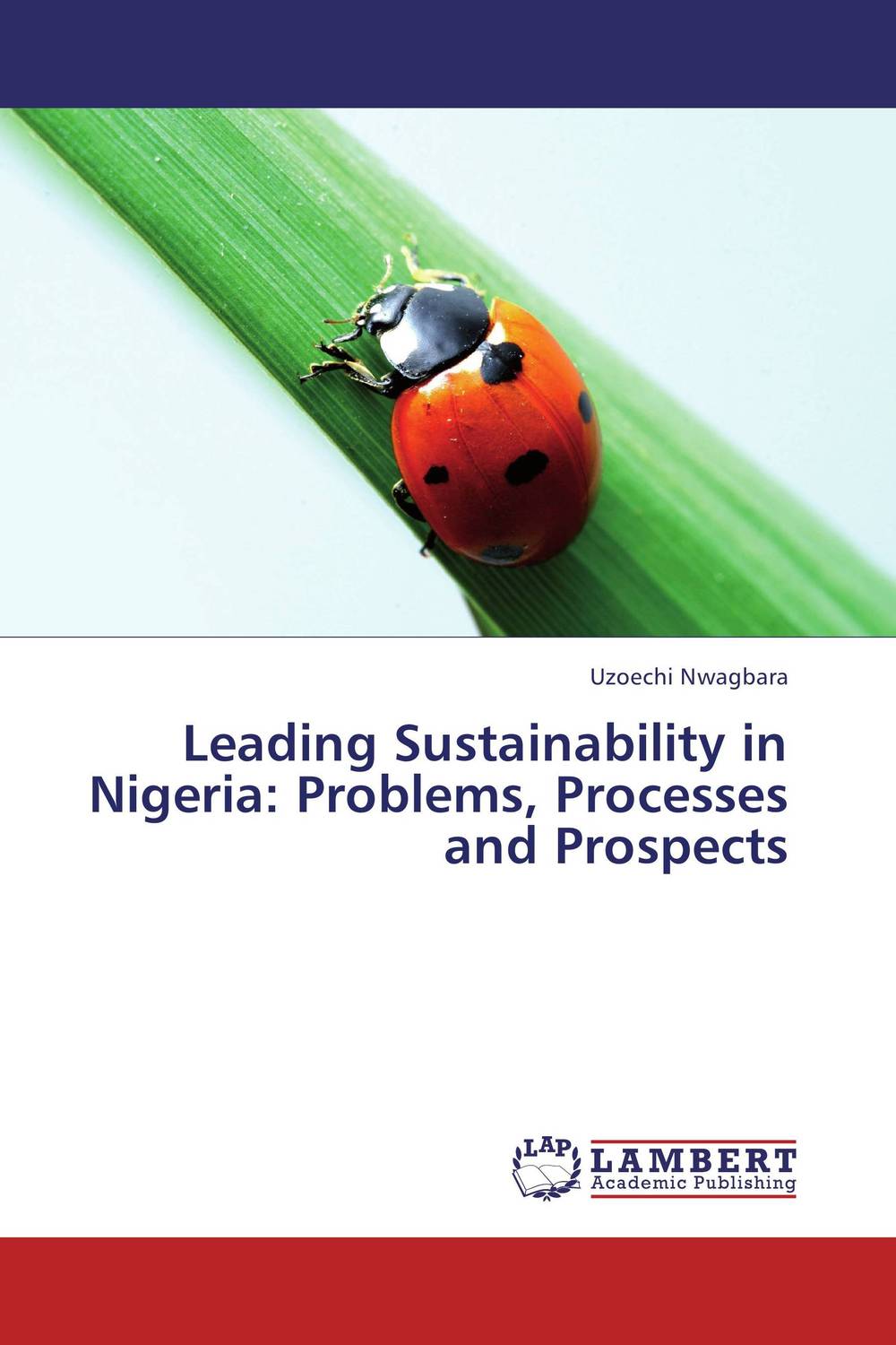 prospects of advertising in nigeria prospects of advertising in nigeria