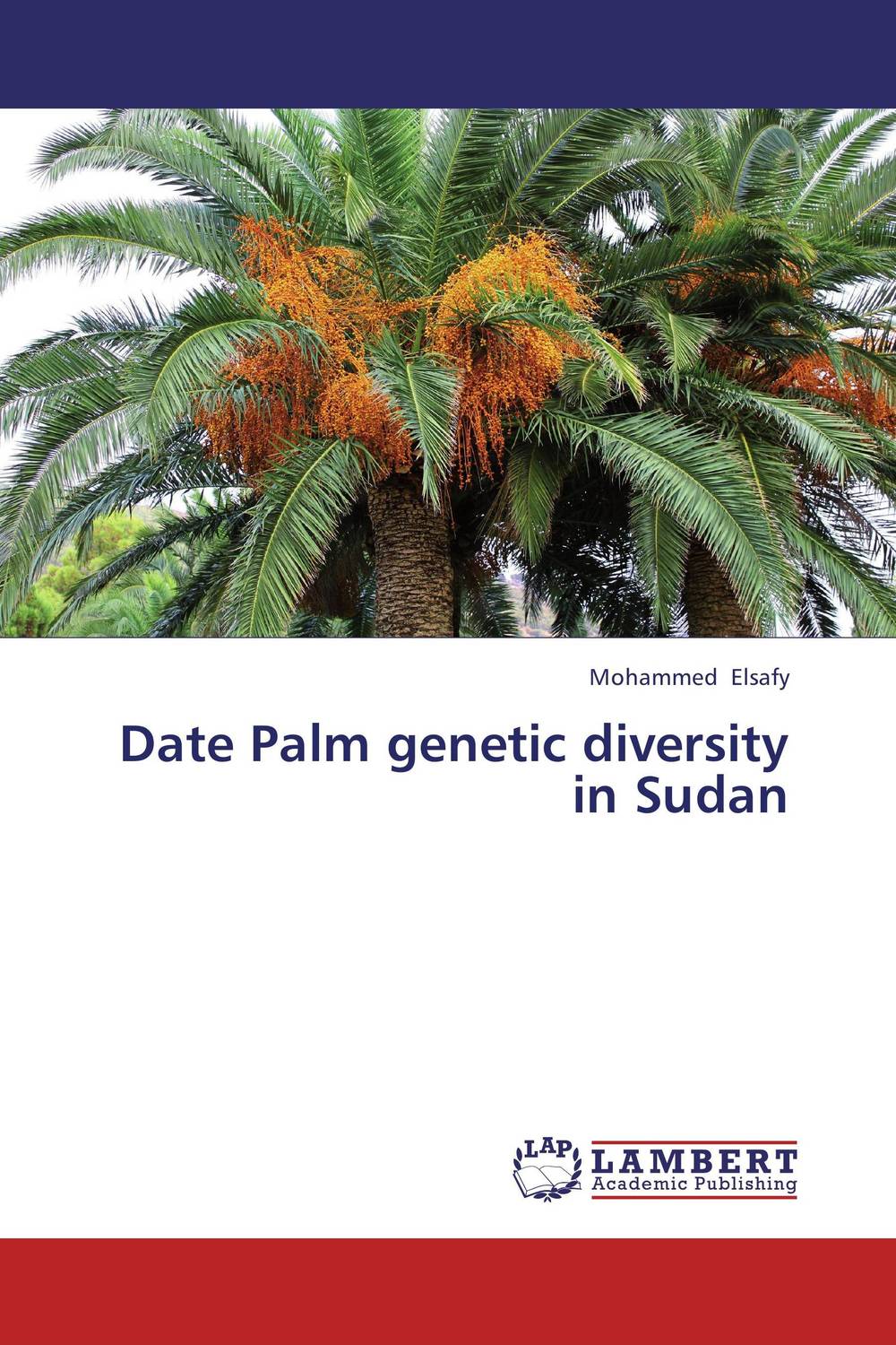 Date Palm genetic diversity in Sudan dna fingerprinting of trees and genetic diversity of syzygium cumini