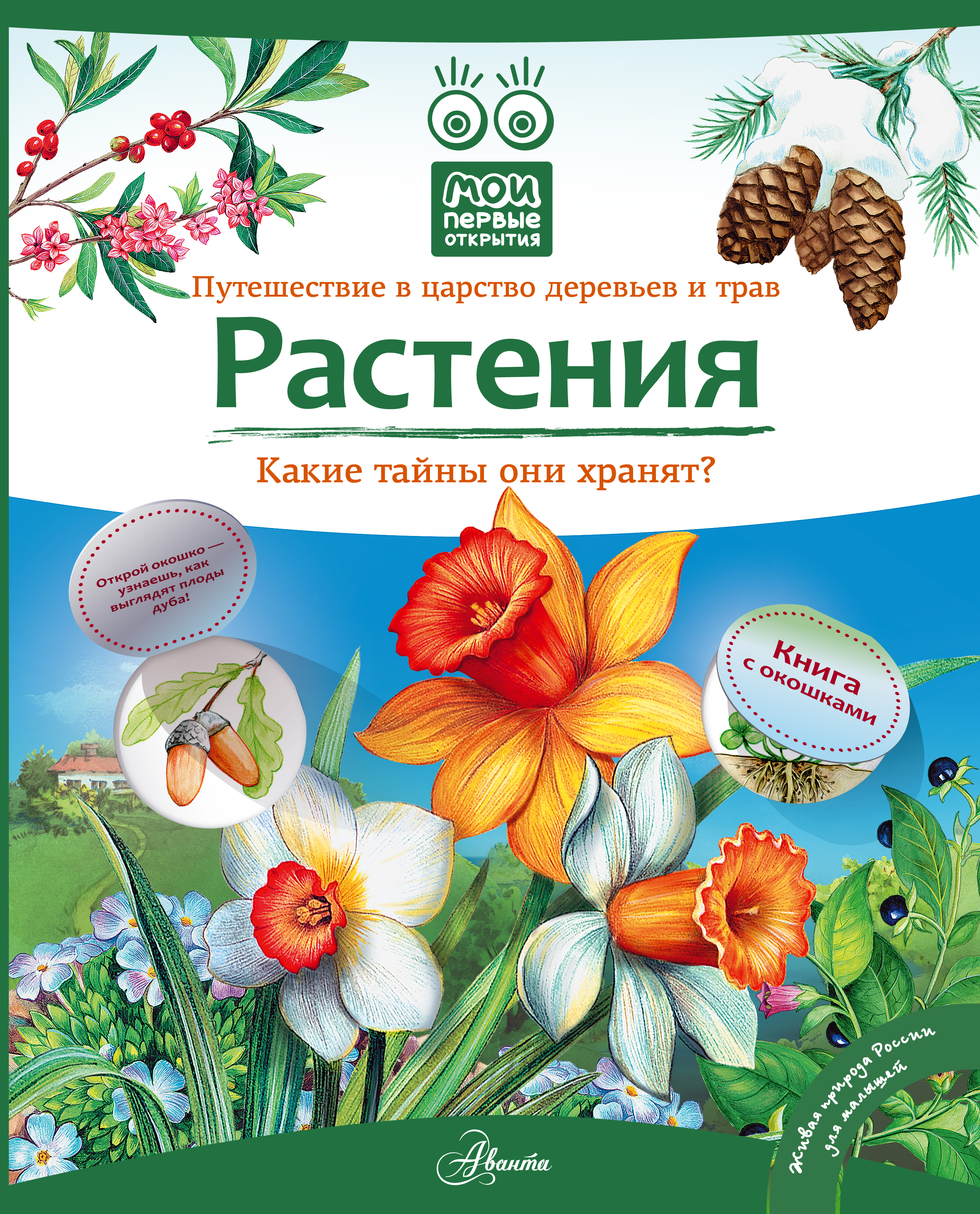 Энциклопедия цветов. Растения книга с окошками Елумеева. Энциклопедия растений для детей. Книги о растениях для детей. Энциклопедия цветы для детей.