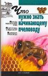 Что нужно знать начинающему пчеловоду. Что нужно знать начинающему пчеловоду.