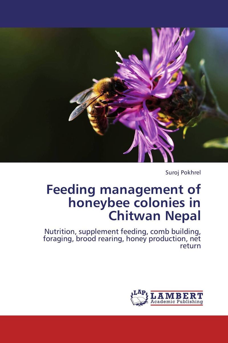 Feeding management of honeybee colonies in Chitwan Nepal high quality honey outflow bee hive frame flow hive frames 7 pcs frames