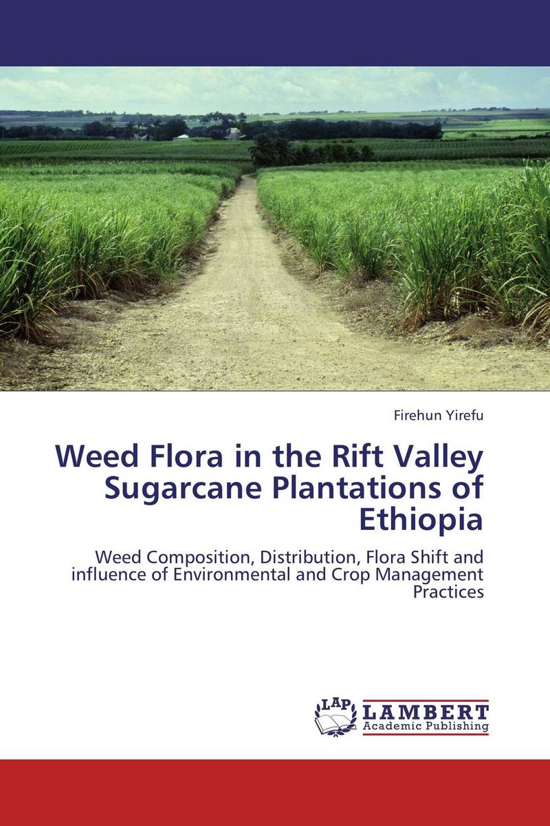 Weed Flora in the Rift Valley Sugarcane Plantations of Ethiopia on the distribution of information structures and focal points
