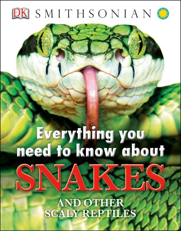 Everything You Need to Know About Snakes what you need to know about project management