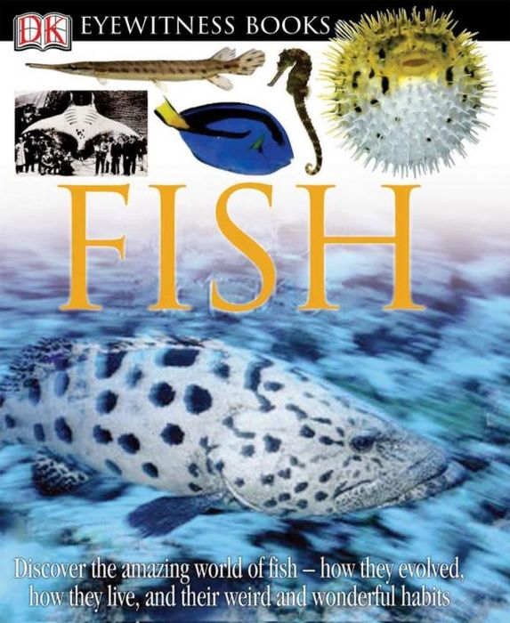 дэниел уоллес крупная рыба. Field & stream fishing. детская книга фиш. Fish book. Rainbow fish книга.