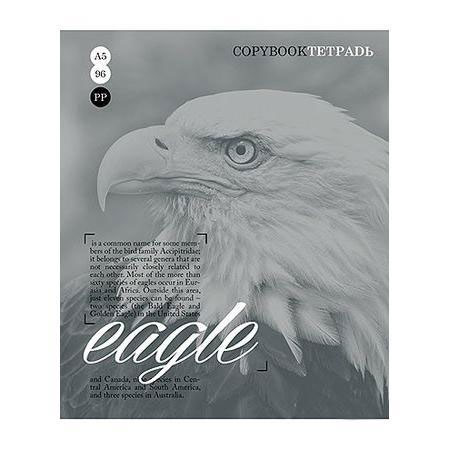 Тетрадь 96л А5ф клетка на скобе серия Тайны природы, цвет: серый Eagle96Т5B1_серый Тетрадь 96л А5ф клетка на скобе серия Тайны природы, цвет: серый Eagle96Т5B1_серыйТетрадь 96л А5ф клетка на скобе серия Тайны природы, цвет: серый Eagle