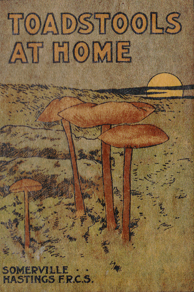 Toadstools at home13101 Toadstools at home13101Лондон, 1907 год. Издательство Gowans & Gray.Издание с 60 фотографиями.Оригинальная обложка и оригинальная суперобложка из кальки.Сохранность хорошая. Надрывы на суперобложке.Задача книг из серии Gowans nature books зародить в читателе любовь к родной природе и пробудить интерес к ее изучению. Представленное издание посвящено грибам и содержит 60 фотографий различных видов, а также небольшую пояснительную статью.Не подлежит вывозу за пределы Российской Федерации.
