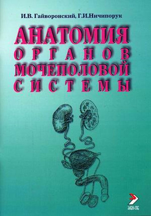 Анатомия органов мочеполовой системы. И. В. Гайворонский, Г. И. Ничипорук