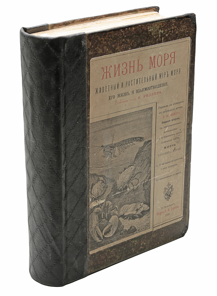 Жизнь моря. Животный и растительный мир моря, его жизнь и взаимоотношения4002064401324 Жизнь моря. Животный и растительный мир моря, его жизнь и взаимоотношения4002064401324Прижизненное издание. Санкт-Петербург, 1905 год. Издание А. Ф. Девриена.С 10 таблицами в красках, 6 отдельными гравюрами и 334 политипажами в тексте. Владельческий переплет с наклеенной оригинальной обложкой. Сохранность хорошая.Известный труд профессора Конрада Келлера состоит из четырех частей: ЧАСТЬ ПЕРВАЯ. Общие явления жизни морских животных1. Исторический очерк исследований жизни моря2. Внешние условия существования морских животных 3. Свободно живущие и сидячие животные 4. Разделение труда и полиморфизм5. Явление сожительства животных или симбиоз 6. Паразитизм7. Окраска морских животных8. Свечение моря9. Явление переселения или миграции10. Суэцкий канал, как миграционный путь11. Береговая фауна12. Фауна поверхности моря и планктон 13. Жизнь на морских глубинах14. Морская фауна в пресной воде15. Морская фауна и изменения земной коры16. Коралловые рифы ЧАСТЬ ВТОРАЯ. Позвоночные животные моря1. Морские млекопитающие 2. Морские птицы 3. Морские пресмыкающиеся 4. Морские рыбы ЧАСТЬ ТРЕТЬЯ. Беспозвоночные животные моря1. Ракообразные 2. Мягкотелые или моллюски 3. Иглокожие4. Черви и близкие к ним группы 5. Медузы и близкие к ним группы6. Гидроидные коралловые полипы7. Губки 8. ПростейшиеЧАСТЬ ЧЕТВЕРТАЯ. Растительность моря1. Флора микроскопических водорослей2. Сифонеи3. Бурые и красные водоросли 4. Морская трава и мангровые заросли ЧАСТЬ ПЯТАЯ. Жизнь русских морей 1.Исторический очерк исследований жизни русских морей 2. Природа и жизнь северных морей 3. Природа и жизнь южных морей 4. Природа и фауна восточных морей Издание не подлежит вывозу за пределы Российской Федерации.