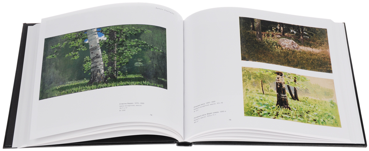 Шишкин Белый Город Купить Книгу