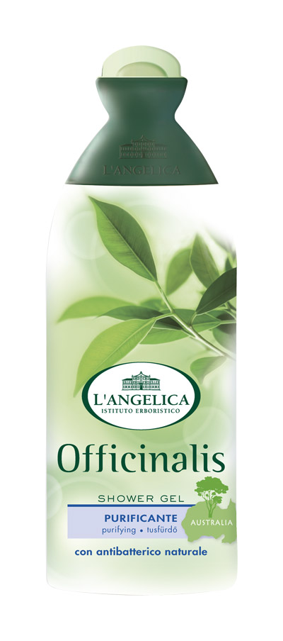 Langelica (0836) Гель для душа с маслом чайного дерева, 250 мл535-0-09799 Langelica (0836) Гель для душа с маслом чайного дерева, 250 мл535-0-09799LANGELICA OFFICINALIS. Гель для душа очищающий антибактериальный с маслом чайного дерева. Гель для душа содержит масло Melaleuca Alternifolia, известное как масло австралийского чайного дерева- чудо растения. Регулярное использование геля мягко действует на самую чувствительную кожу, укрепляет ее естественный защитный барьер против бактерий, делает ее здоровой и полной жизни.