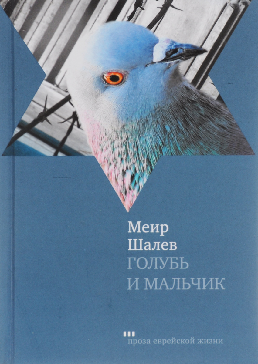 Голубь и мальчик, Меир Шалев. Купить книгу за 369 руб.