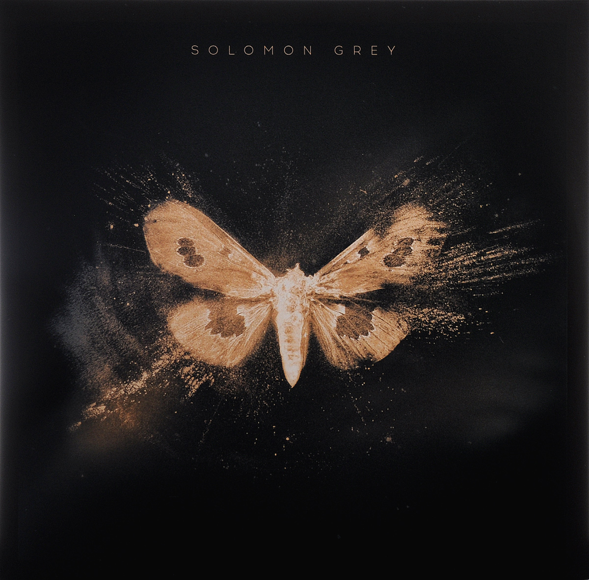 Solomon Grey. Solomon Grey (2 LP)