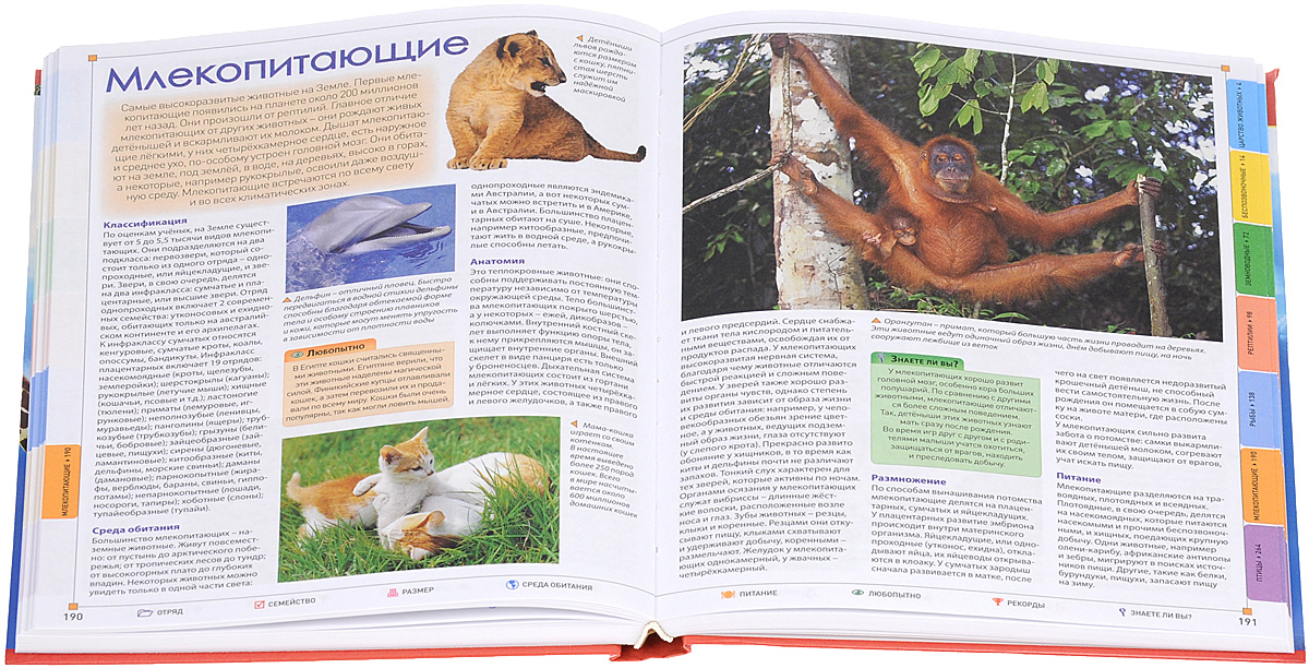 Книга большая иллюстрированная энциклопедия. Большая энциклопедия животных. Мир животных. Иллюстрированная энциклопедия. Большая иллюстрированная энциклопедия животных. Полная иллюстрированная энциклопедия. Мир животных.