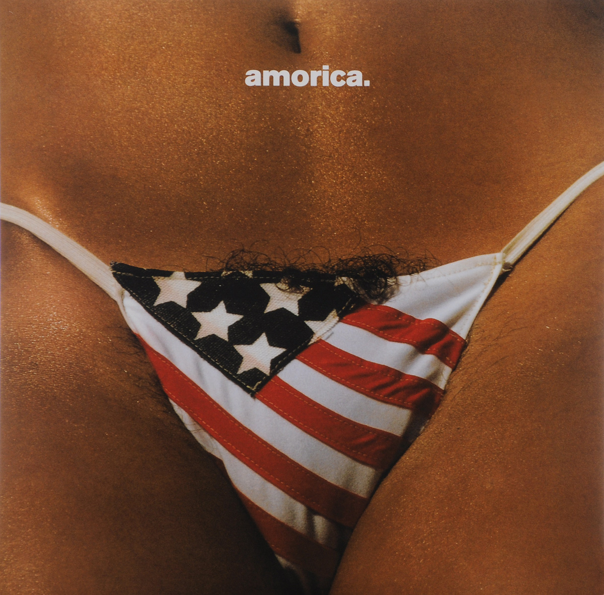 The Black Crowes. Amorica (2 LP)