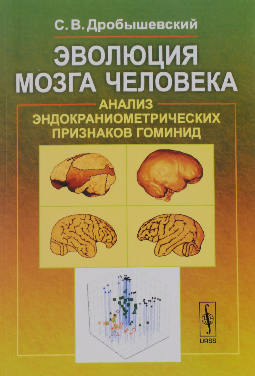 Эволюция мозга человека. Анализ эндокраниометрических признаков гоминид. С. В. Дробышевский