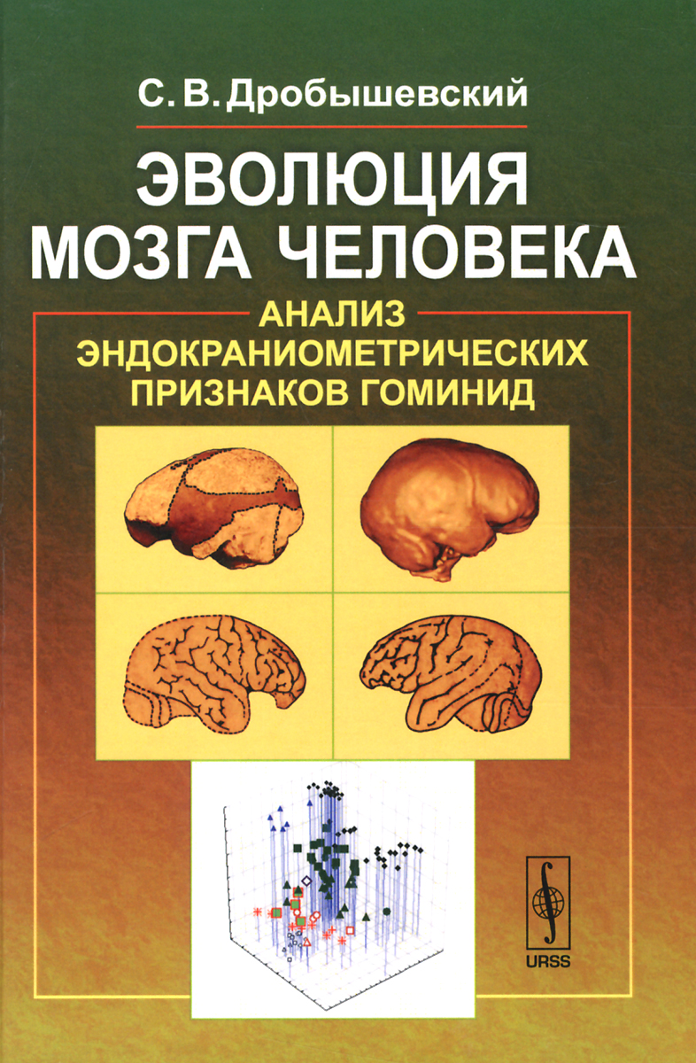 Эволюция мозга человека. Анализ эндокраниометрических признаков гоминид. С. В. Дробышевский
