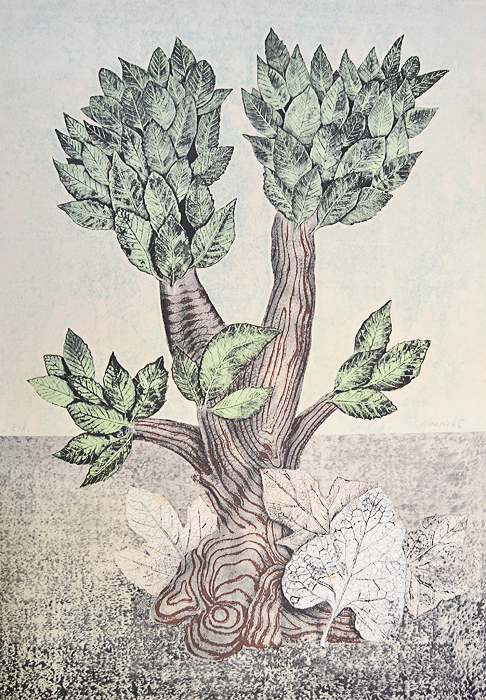 Дерево бонсай. Литография. Карло Гуарьенти. Италия, вторая половина XX века