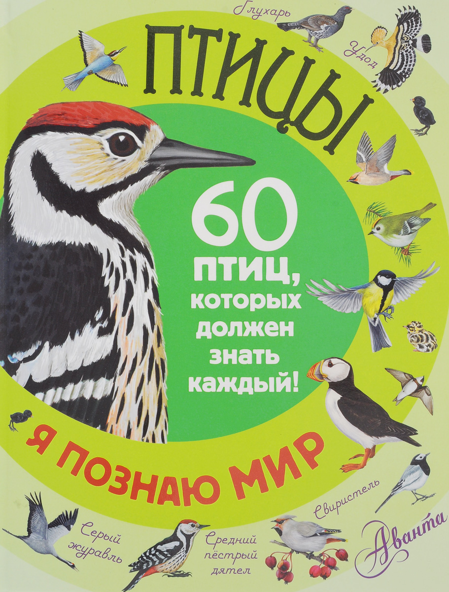 Птицы. 60 птиц, которых должен знать каждый. Е. Ю. Снегирева