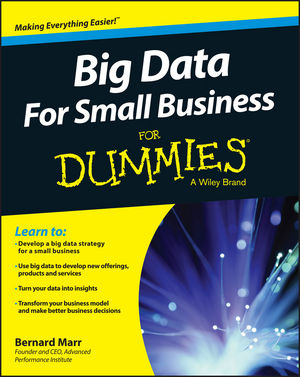 Big Data For Small Business For Dummies how to make big money in your own small business