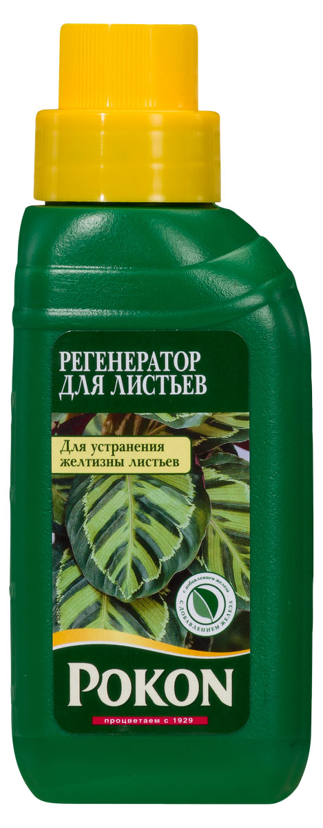 Регенератор растений Pokon Зеленая сила, 250 мл8711969023895 Регенератор растений Pokon Зеленая сила, 250 мл8711969023895Регенератор растений Pokon — Зеленая силаЭто удобрение восстанавливает пожелтевшие листья. За счет высокого содержания железа обеспечивается интенсивная терапия растений с признаками хлороза, вызванного недостатком питательных веществ. Железо стимулирует образование хлорофилла в растениях. В сочетании со сбалансированным количеством питательных веществ (микроэлементов) это позволяет восполнить дефицит. Пожелтевшие листья восстанавливаются и снова приобретают красивый зеленый цвет.Инструкция по применению:- Перед применением встряхните.- Добавьте удобрение в воду для полива, отмерив нужное количество мерной крышечкой (5 мл на 1 л воды).- Используйте удобрение круглый год.- После каждого полива ополаскивайте лейку чистой водой.- Для достижения оптимального результата используйте в сочетании с другими удобрениями Pokon.Удобрение не восстанавливает повреждения растений в результате поражения болезнями и вредителями. Для этого существуют специальные средства, например наша линия «Pokon СТОП».Удобрение соответствует нормам ЕС.