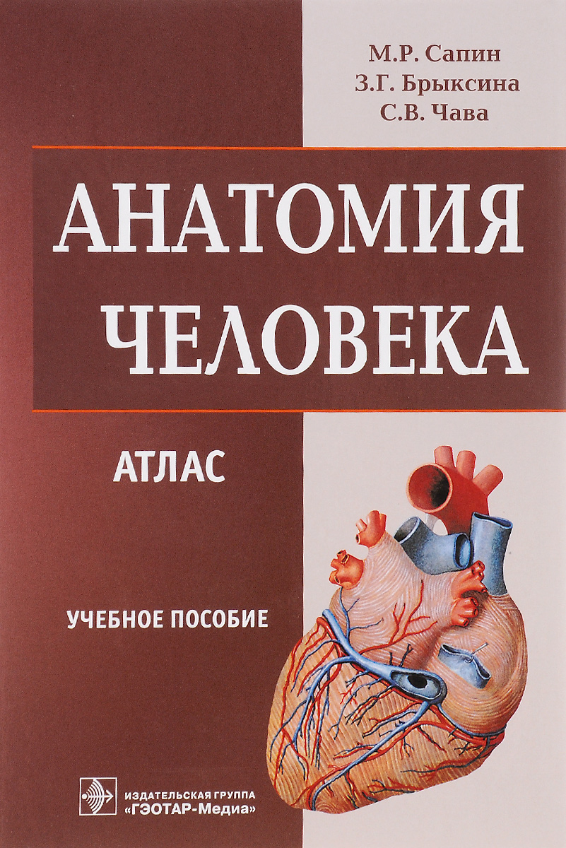 Бушкович. Анатомия человека учебное пособие. Анатомия человека привес лысенков бушкович. Г. Анатомия человека атлас м.