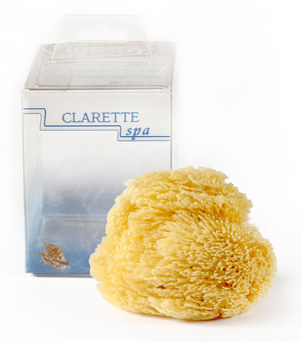Clarette Натуральная морская губка для лица , цвет: бежевыйCNS 438 Clarette Натуральная морская губка для лица , цвет: бежевыйCNS 438Натуральня морская губка для тела Сlarette деликатно очищает самую чувствительную кожу, делает ее гладкой и нежной. Впитывая большое количество воды, губка становится очень мягкой и создает обильную пену, тем самым позволяет экономно расходовать мыло или гель для душа. Не сушит кожу, обладает природными бактерицидными свойствами.
