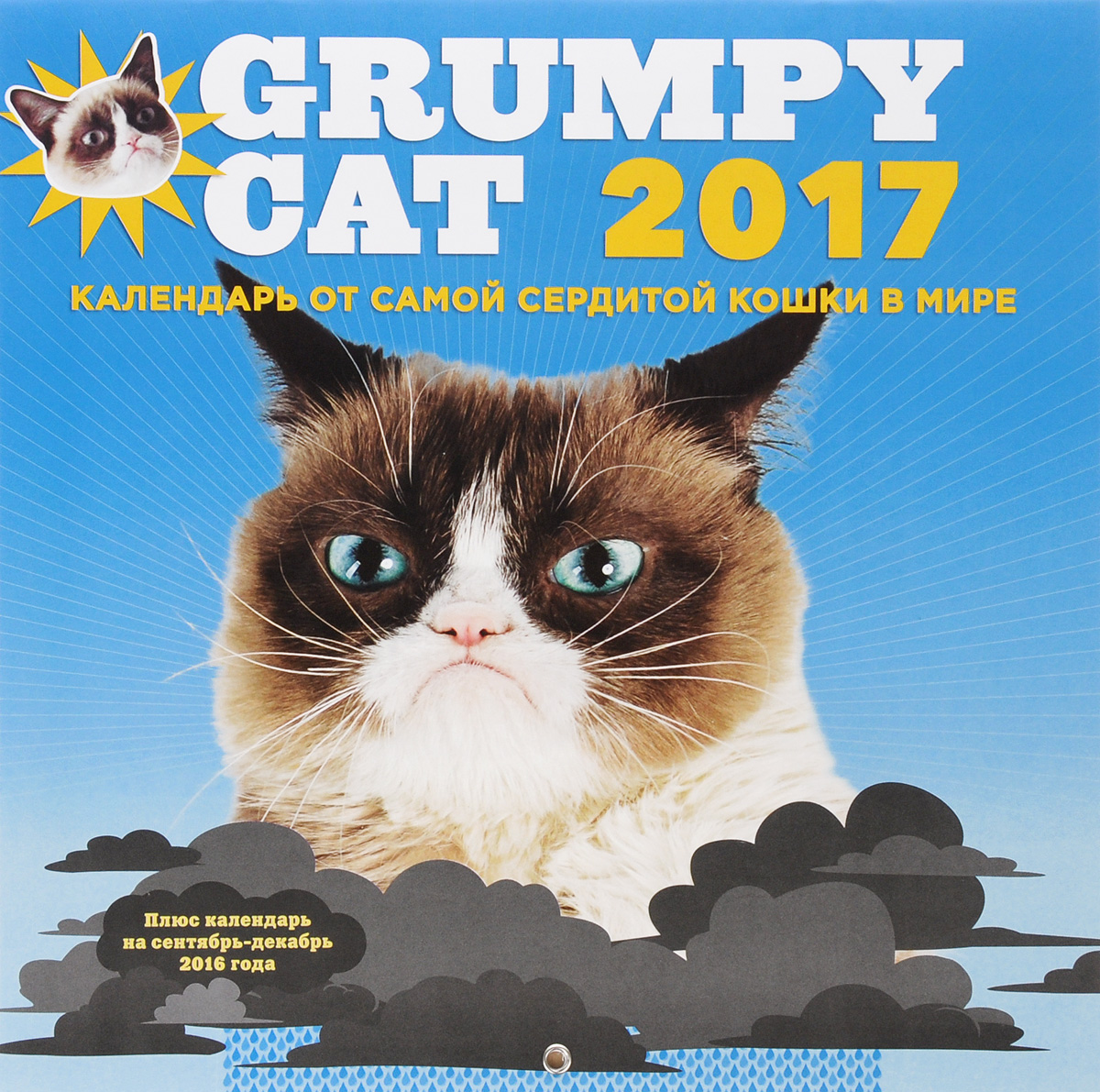 2017 ( ).        / Grumpy Cat