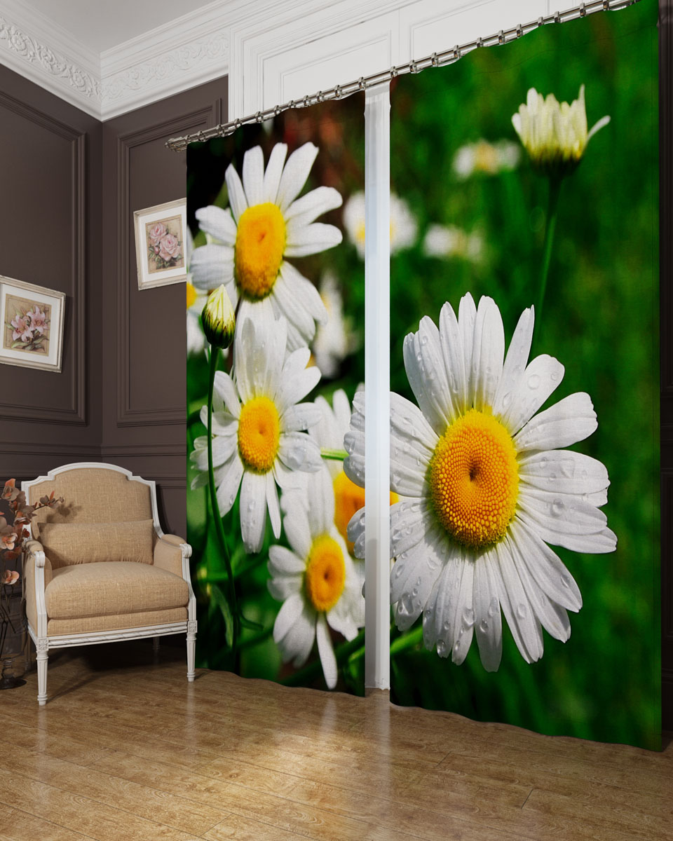 Комплект фотоштор Сирень Крупные ромашки, на ленте, высота 260 см02945-ФШ-БЛ-001 Комплект фотоштор Сирень Крупные ромашки, на ленте, высота 260 см02945-ФШ-БЛ-001Фотошторы Сирень Крупные ромашки, выполненные из блэкаута, отлично дополнят украшение любого интерьера. Блэкаут - это трехслойная светонепроницаемая ткань - 100% полиэстер, по структуре напоминает плотный хлопок, очень мягкий,с небольшим сероватым оттенком из-за черной нити, входящей в состав ткани. Блэкаут не требует особого ухода, хорошо драпируется. Пропускает солнечные лучи не более 5%. Крепление на карниз при помощи шторной ленты на крючки. В комплекте 2 шторы. Ширина одного полотна: 145 см.Высота штор: 260 см.Рекомендации по уходу: стирка при 30 градусах, гладить при температуре до 110 градусов.Изображение на мониторе может немного отличаться от реального.