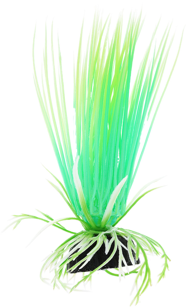 Растение для аквариума Barbus Акорус, пластиковое, светящееся, высота 10 смPlant 056 DARK/10 Растение для аквариума Barbus Акорус, пластиковое, светящееся, высота 10 смPlant 056 DARK/10Растение для аквариума Barbus Акорус, выполненное из высококачественного нетоксичного пластика, станет прекрасным украшением вашего аквариума. Светящееся в темноте растение станет замечательным и необычным украшением вашего аквариума. В воде происходит абсолютная имитация живых растений. Изделие не требует дополнительного ухода и просто в применении. Растение абсолютно безопасно, нейтрально к водному балансу, устойчиво к истиранию краски, подходит как для пресноводного, так и для морского аквариума. Растение для аквариума Barbus Акорус поможет вам смоделировать потрясающий пейзаж на дне вашего аквариума или террариума.