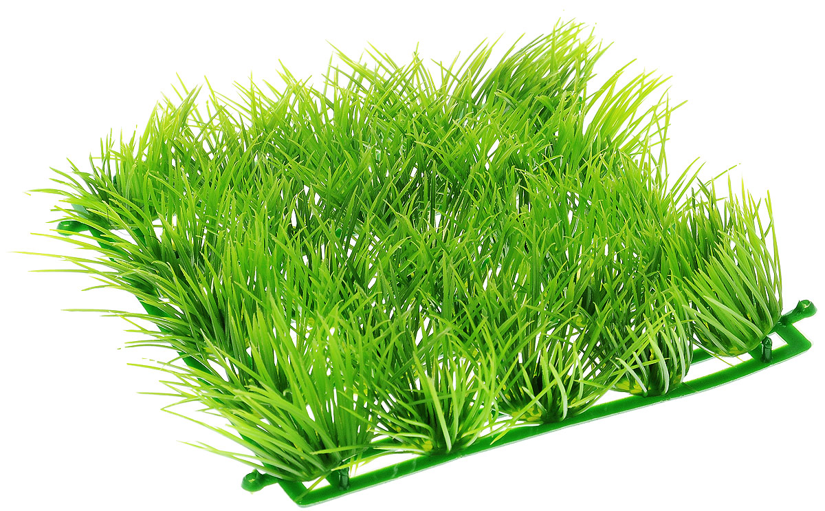 Коврик в аквариум Barbus, цвет: зеленый, 15 х 15 см. Plant 060Plant 060 Коврик в аквариум Barbus, цвет: зеленый, 15 х 15 см. Plant 060Plant 060Коврик для аквариума Barbus, выполненная из высококачественного пластика, станет прекрасным украшением вашего аквариума. Изделие отличается реалистичным исполнением и ярким дизайном. Декорация абсолютно безопасна, нейтральна к водному балансу, устойчива к истиранию краски, подходит как для пресноводного, так и для морского аквариума. Благодаря такому коврику вы сможете смоделировать потрясающий пейзаж на дне вашего аквариума или террариума.